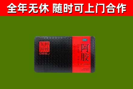 诏安回收阿胶