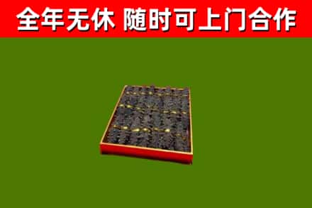 诏安回收海参